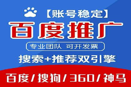 SEM运营公司经典案例点评